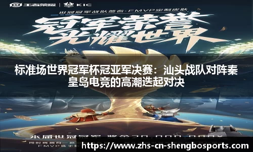 标准场世界冠军杯冠亚军决赛：汕头战队对阵秦皇岛电竞的高潮迭起对决